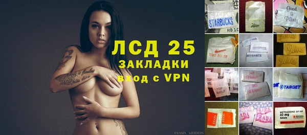 СК Пересвет