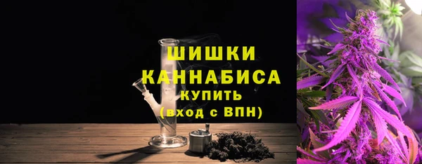 МДПВ Пестово