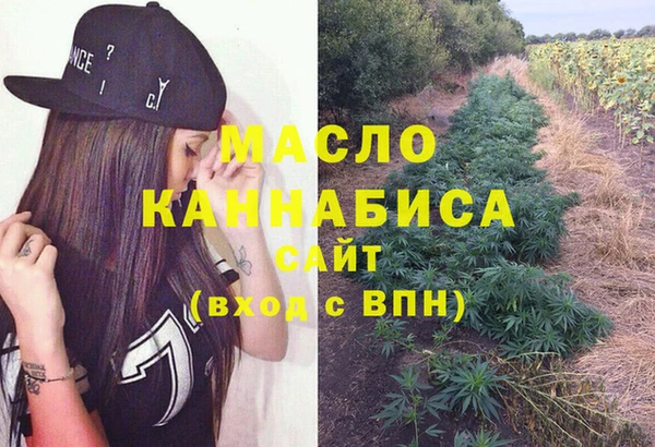 СК Пересвет