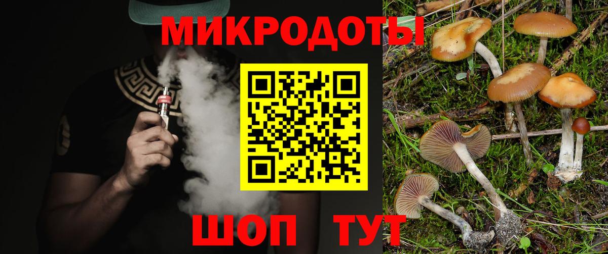 Галлюциногенные грибы Psilocybe Балашов