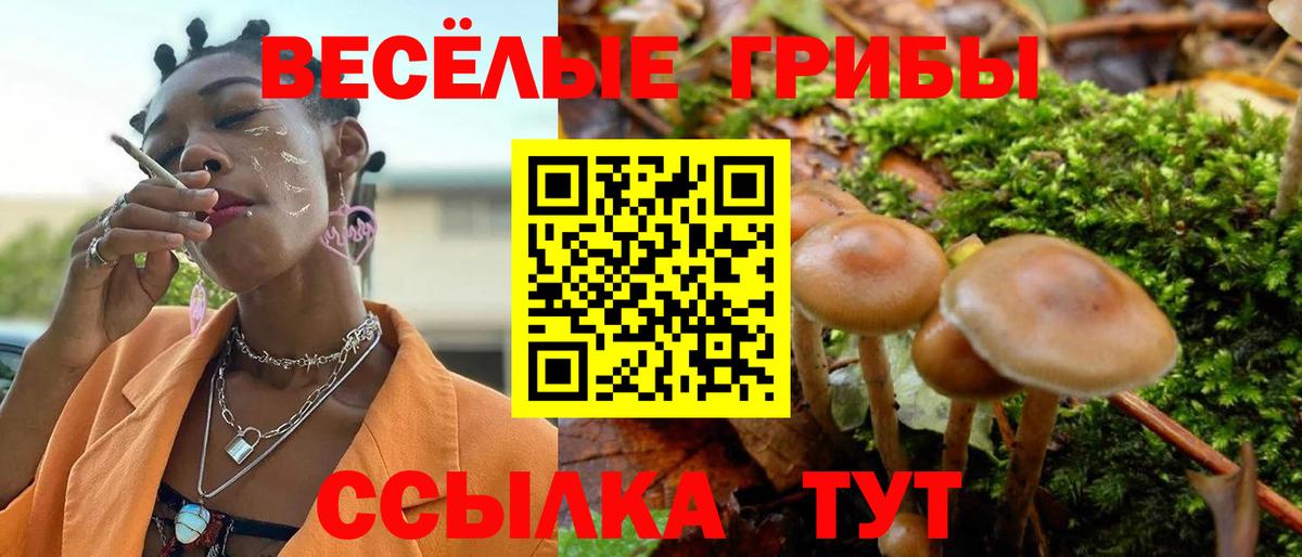 Балашов  Псилоцибиновые грибы ЛСД  Вход с VPN 